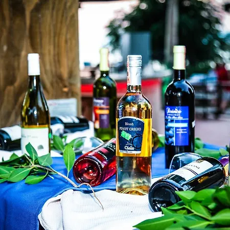 Szálloda Lonicera & Avsallar